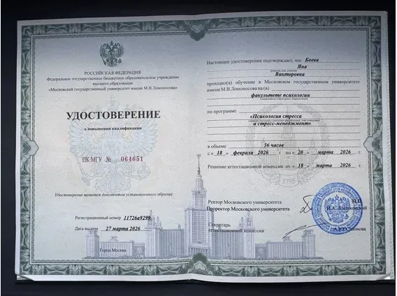 Дополнительный документ 1