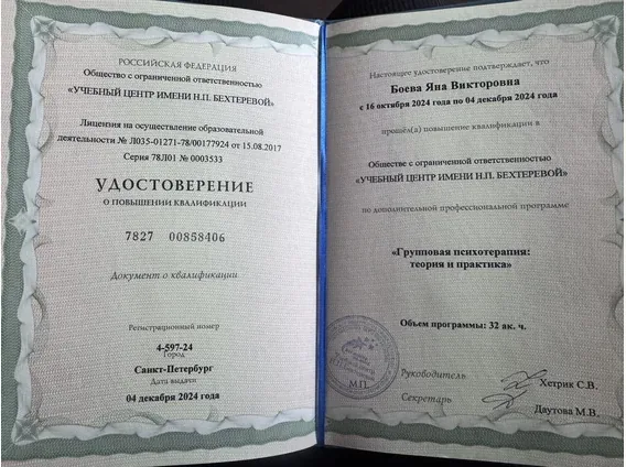 Дополнительный документ 2